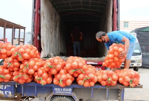 保定联农蔬菜果品批发市场 第一批供京农产品抵达北京