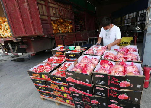 记者实地探访万邦农产品批发市场 菜篮子 拎得稳装得满,没问题